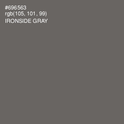 #696563 - Ironside Gray Color Image